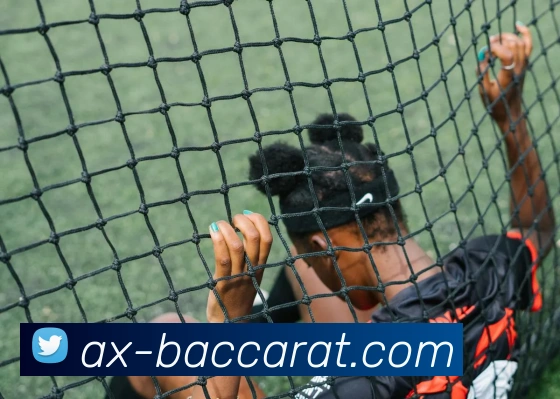 百家乐官网平台生态图